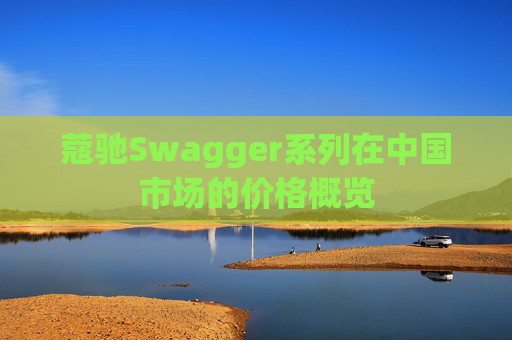 蔻驰Swagger系列在中国市场的价格概览
