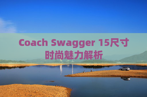 Coach Swagger 15尺寸时尚魅力解析