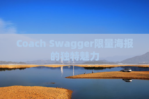 Coach Swagger限量海报的独特魅力